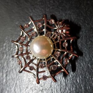 Web and Spider Brooch